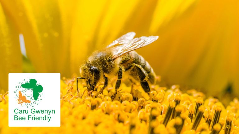 We’re buzzing about achieving Bee Friendly status – again!