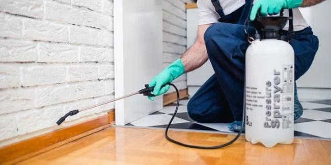 Keeping pests under control