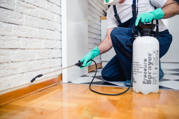Keeping pests under control Keeping pests under control