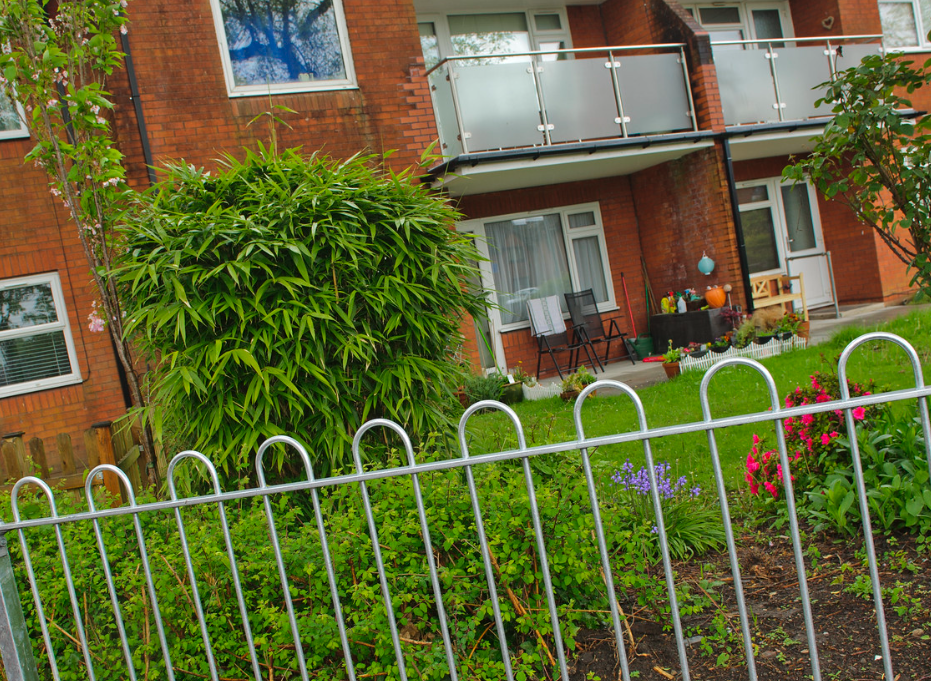 A well-maintained garden area outside Bron Afon housing, with patio chairs, potted plants, and a lush bamboo bush near a red-brick building