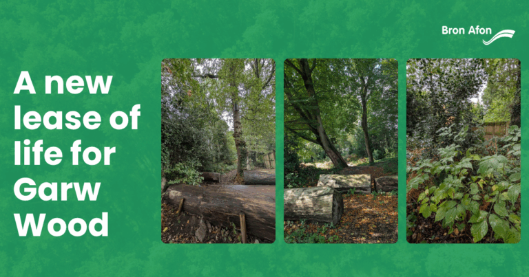 A new lease of life for Garw Wood